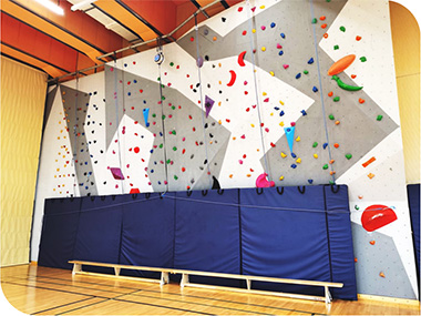 climbing wall, rock climbing wall, climbing walls, school rock climbing wall, build climbing wall, indoor rock climbing, bouldering wall, traverse wall, rock climbing wall for sale, top rope climbing wall, sport climbing wall, climbing wall for school,cam